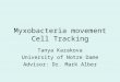 Myxobacteria movement Cell Tracking