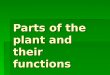 Parts of the plant and their functions