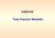 ANOVA Two Factor Models