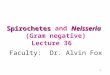 Spirochetes and Neisseria (Gram negative) Lecture 36