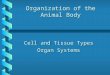 Organization of the Animal Body