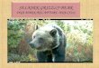 SELKIRK GRIZZLY BEAR DNA MARK/RECAPTURE ANALYSIS