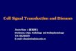 Cell Signal Transduction and Diseases