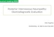 Posterior  Interosseous  Neuropathy:  Electrodiagnostic  Evaluation