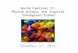 World Families II: Marine pelagic and tropical freshwater fishes