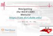 Navigating  the RACE CARS Website