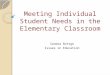 Meeting Individual Student Needs in the  Elementary Classroom