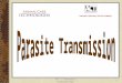Parasite Transmission