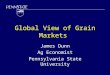 Global View of Grain Markets