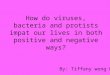 How do viruses, bacteria and protists impat our lives in both positive and negative ways?