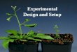 Experimental Design and Setup