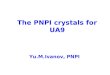 The PNPI crystals for UA9