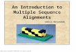 An Introduction to Multiple Sequence Alignments