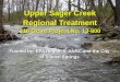 Upper Sager Creek Regional Treatment 319 Grant Project No.  13-800