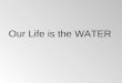 Our Life is the WATER