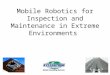 Mobile Robotics for Inspection and Maintenance in Extreme Environments