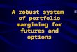 A robust  system  of portfolio margining for futures and options