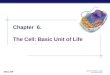 Chapter  6. The Cell: Basic Unit of Life