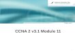 CCNA  2  v3. 1  Module 11