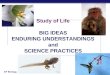 Study of Life BIG IDEAS ENDURING UNDERSTANDINGS and SCIENCE PRACTICES