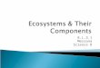 Ecosystems & Their Components