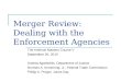 Merger Review:  Dealing with the Enforcement Agencies