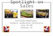Spotlight on Sales