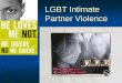 LGBT Intimate Partner Violence