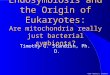 Endosymbiosis and the Origin of Eukaryotes: Are mitochondria really just bacterial symbionts?