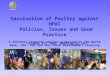 Vaccination of Poultry against HPAI  Policies, Issues and Good Practice