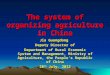 The system of organizing agriculture in China