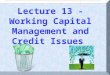 Lecture 13 - Working Capital Management and Credit Issues