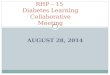 RHP – 15  Diabetes Learning Collaborative Meeting