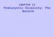 CHAPTER 12 Prokaryotic Diversity: The  Bacteria