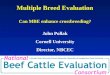Multiple Breed Evaluation Can MBE enhance crossbreeding?