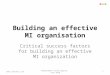 Building an effective MI organisation