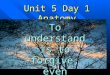 Unit 5 Day 1 Anatomy