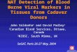 NAT Detection of Blood Borne Viral Markers in Tissues from Cadaver Donors