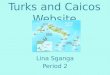 Turks and Caicos Website