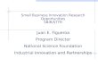 Small Business Innovation Research Opportunities SBIR/STTR