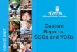 Custom Reports: SCGs and VCGs