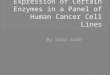 Presentation of Expression of Certain  E nzymes in a Panel of Human Cancer  C ell Lines