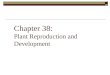 Chapter 38: Plant Reproduction and Development
