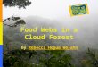 Food Webs in a Cloud Forest