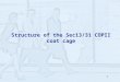 Structure of the Sec13/31 COPII coat cage
