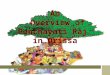An  Overview of Panchayati Raj  in Orissa