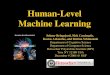 Human-Level Machine Learning
