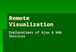 Remote Visualization