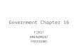 Government Chapter 16