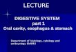 DIGESTIVE SYSTEM part 1 Oral cavity, esophagus & stomach